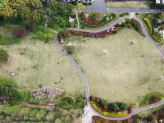 -上海财经大学(国定路校区)