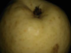 -明辉果业(章家巷小区延长西路526弄店)