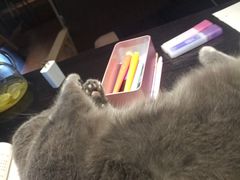 -东北饺子王(麓山南路店)