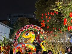 -越秀西湖花市(广州城市广场花卉店)
