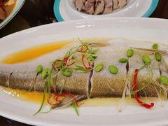 鸡汁白鱼-金陵后厨·南京菜(新街口秣陵路店)