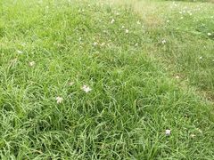 -白鹭湾湿地公园