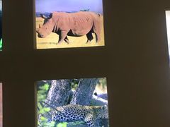 -长春世界雕塑园冰雪艺术天地