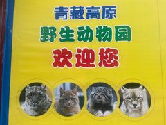 -青藏高原野生动物园