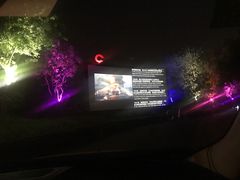 -枫花园汽车电影院(朝阳公园店)