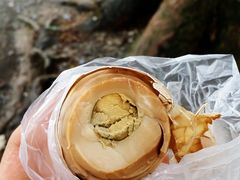 -金盆阿嬷香菇茶叶蛋(玄光店)