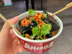 真外酥里嫩-黑色经典臭豆腐·湖南特产(坡子街店)