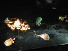 -同济大学四平路校区深海探索馆