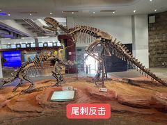 -自贡恐龙博物馆