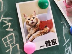 -藏猫猫咖啡主题馆(中央大道店)