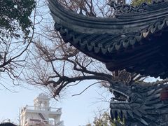 -豫园