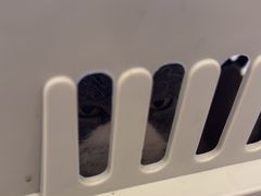 -宠颐生汉谟拉比宠物医院