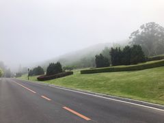 -棒棰岛宾馆景区