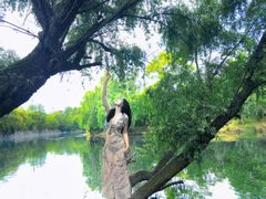 -贵阳市花溪国家城市湿地公园