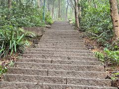 -梧桐山风景名胜区