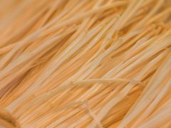 -15年老字号鑫鑫猪肚鸡·椰子鸡海南火锅(兴隆华侨农场店)