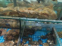 -渔码头食府·20年蓬莱老字号(登州路店)