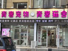 -青奢宠物·青奢猫舍