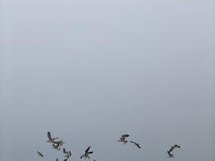 -那香海钻石沙滩浴场
