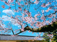 -南紀白浜 浜千鳥の湯 海舟
