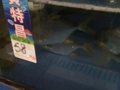 -宋船渔栈(白沙店)