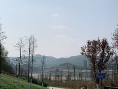 -金海湾滨江公园