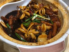 新加坡田鸡粥-初星·烧烤·田鸡粥(海岸城店)