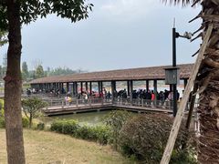 -枫香湖儿童公园