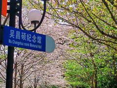 -陆家嘴中心绿地