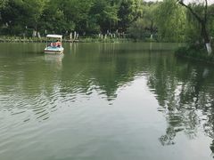 -圩墩遗址公园