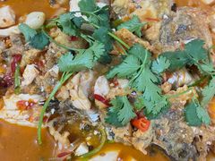 -煲来饱去冷水鱼