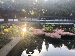 -郭庄茶室