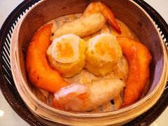 -翠园(北京王府中环店)