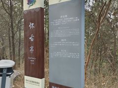 -云龙山