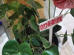 -大鸭梨烤鸭(房山店)