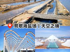 -莺歌海盐场