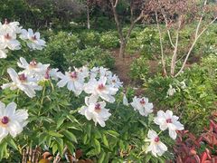 -洛阳市隋唐城遗址植物园