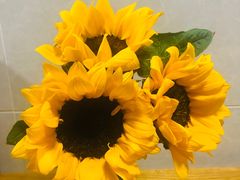 -花邻FloweringLife花艺气球派对(武康大楼店)