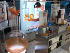 -升恒昌免税商店(桃园国际机场店)