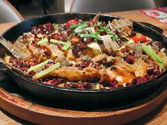 -老板恋上鱼(恒隆广场店)