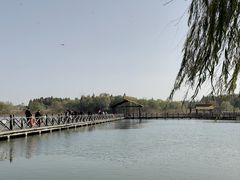 -溱湖国家湿地公园