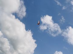 -大京沙滩