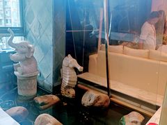-乐尚音乐空间·钢琴·声乐·架子鼓(会展中心店)