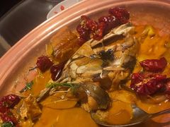 -柿合缘新京菜(国金中心商场店)