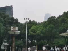 -重庆市江北嘴中央商务区中央公园