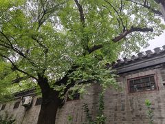-锅儿挑面馆