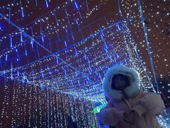 -长春公园(普阳街道)