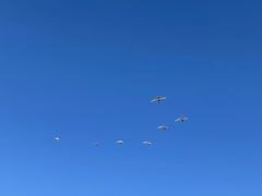 -撒拉人家.酸菜牦牛肉火锅