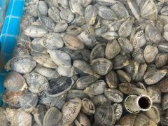 -海之鲜大排档(东山海鲜金銮湾店)