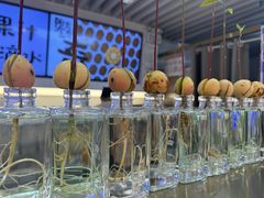 -Mr.Fruits水果先生(蓝色港湾店)